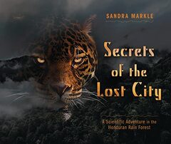 Secrets of the Lost City